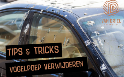 Vogelpoep verwijderen van je auto: tips en tricks