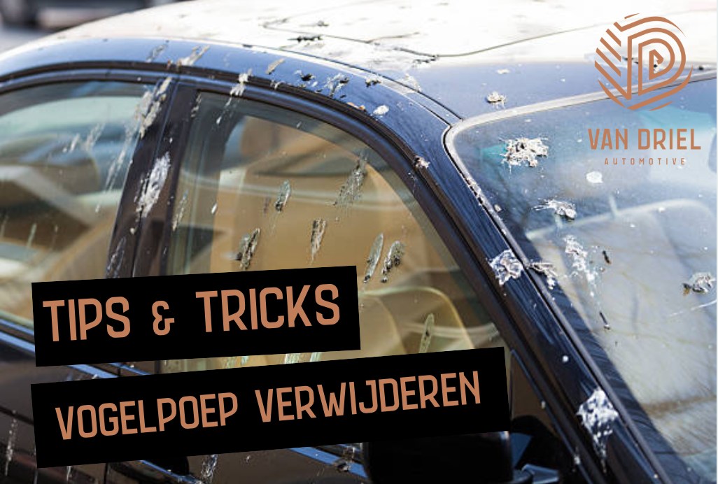 Vogelpoep verwijderen van je auto: tips en tricks