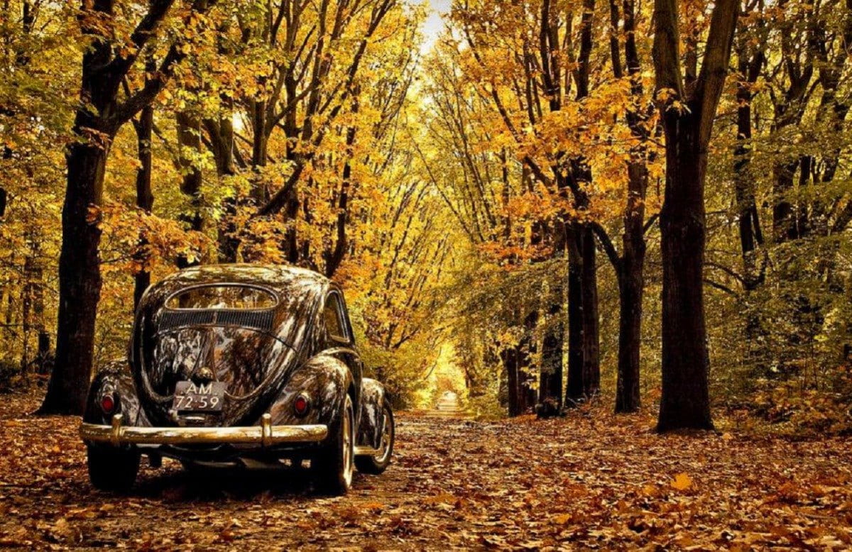 🍁 Maak je auto HerfstKlaar! 🍁
