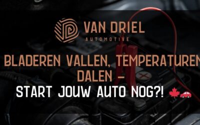 Bladeren Vallen, Temperaturen Dalen – Start Jouw Auto Nog? 🍁🚗